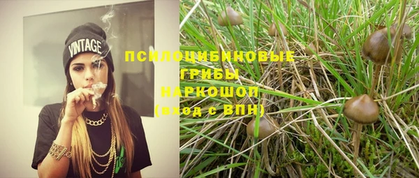 2c-b Алексеевка