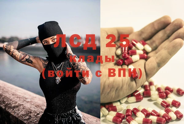 сатива Алзамай