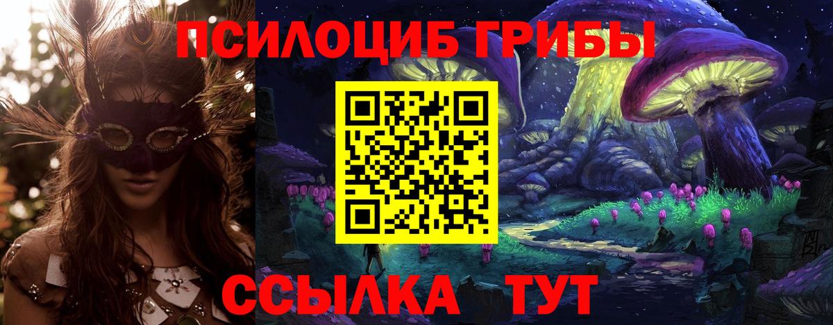 где продают наркотики  Вход с VPN  Карпинск  Галлюциногенные грибы мухоморы 
